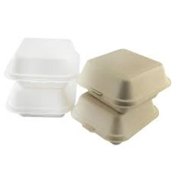 Biodegradable Container