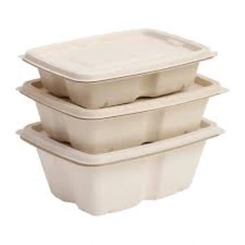 Biodegradable Container