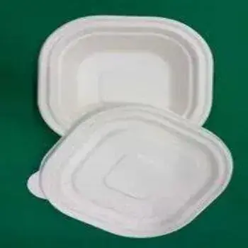 Biodegradable Container