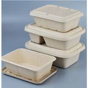 Surya Biodegradable Container