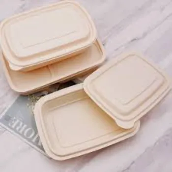 New Biodegradable Container