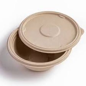 Brown Biodegradable Container