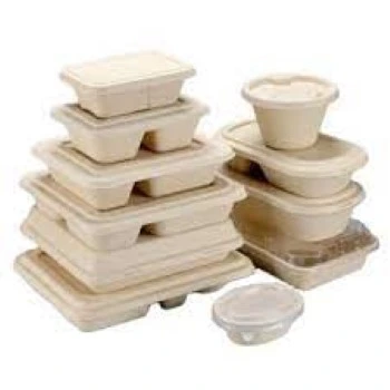 Multisizes Biodegradable Container