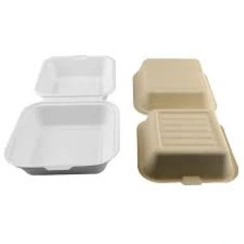 Light Weight Biodegradable Container