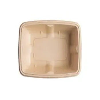 New Biodegradable Container