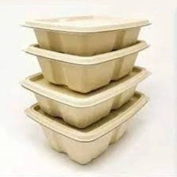 Biodegradable Container