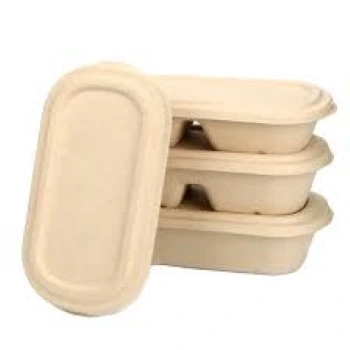 Biodegradable Container