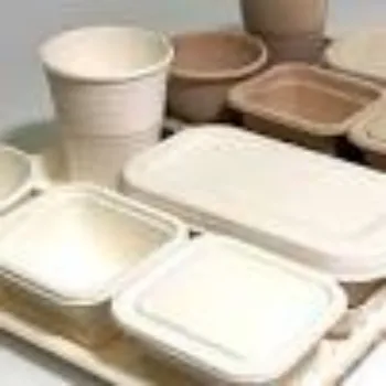 Gold Leaf Papers Biodegradable Container