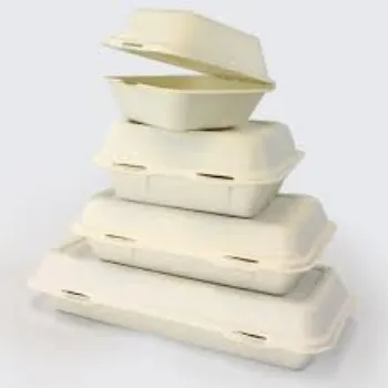 Solid Biodegradable Container