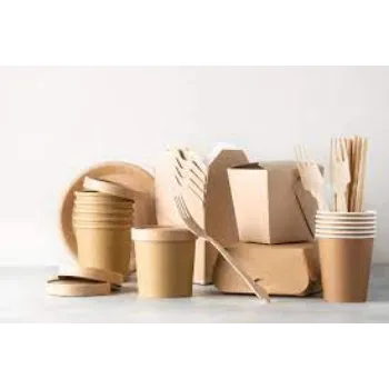 Ragavi Enterprises Biodegradable Container