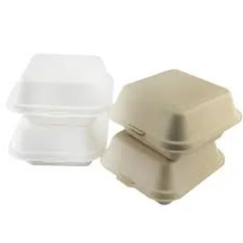 Disposable Biodegradable Container