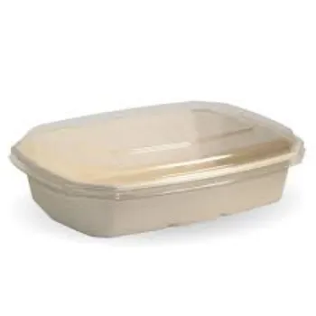 Solid Biodegradable Container