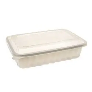 Solid Biodegradable Container