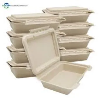 Standard Biodegradable Container