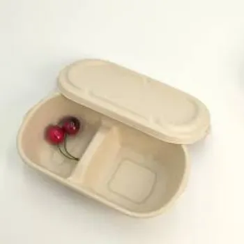 FutureBox Private Limited Biodegradable Container