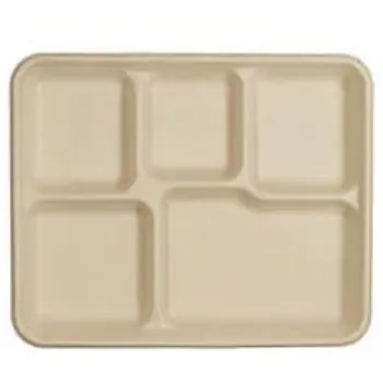  Biodegradable Tray
