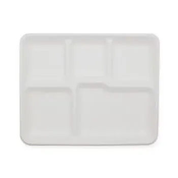 Biodegradable Tray