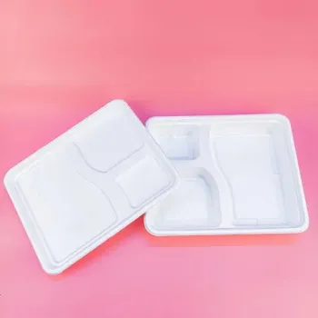  Biodegradable Tray