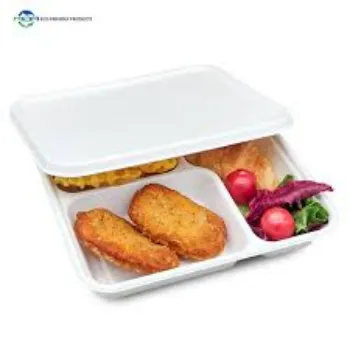 Biodegradable Tray