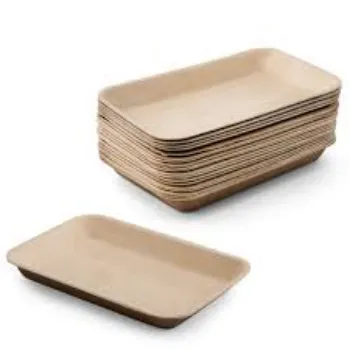  Biodegradable Tray