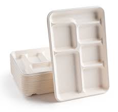  Good Quality Biodegradable Tray