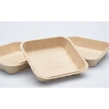 Coated Finished Biodegradable Tray