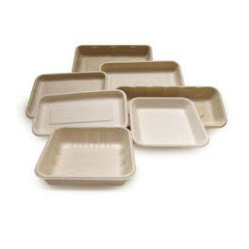 Color Coated Biodegradable Tray