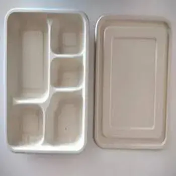 Biodegradable Tray