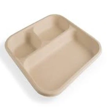 Modern Biodegradable Tray