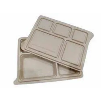 Sustainable Biodegradable Tray