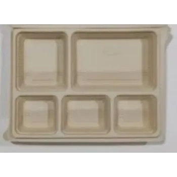 Sudham Biodegradable Tray