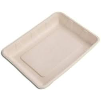 Leak Proof Biodegradable Tray