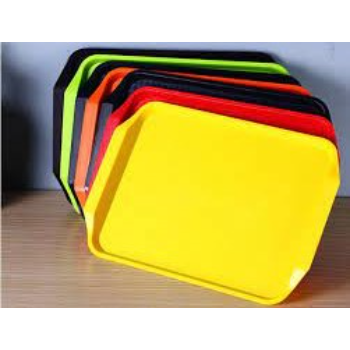 Biodegradable Tray