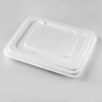 Plain Biodegradable Tray