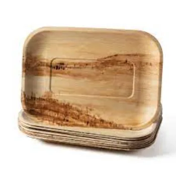 Biodegradable Tray