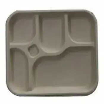 Biodegradable Tray