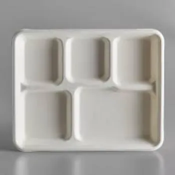 Biodegradable Tray