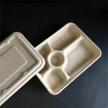 Biodegradable Tray