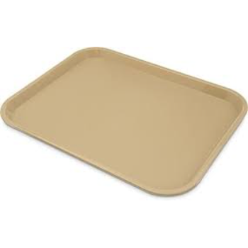 Biodegradable Tray