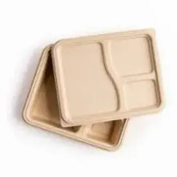 Eco-Friendly Biodegradable Tray