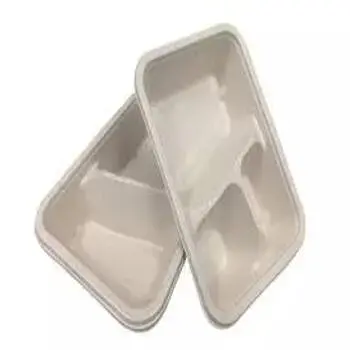 Best Quality Biodegradable Tray