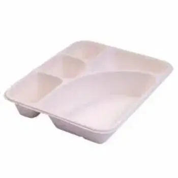 Biodegradable Tray