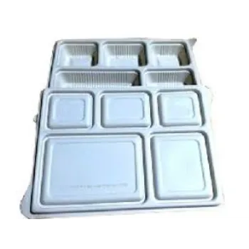 Simple Biodegradable Tray
