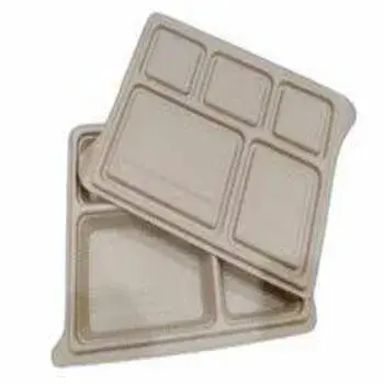 Fine Finish Biodegradable Tray