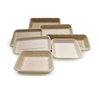Biodegradable Tray