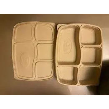 Biodegradable Tray