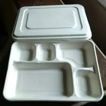 Biodegradable Tray
