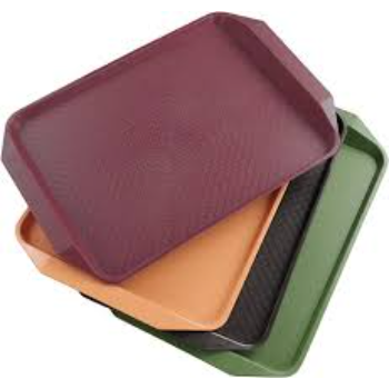 Biodegradable Biodegradable Tray