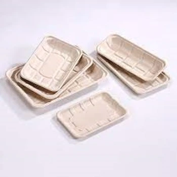 Good Quality Biodegradable Tray