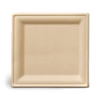 Biodegradable Square Tray